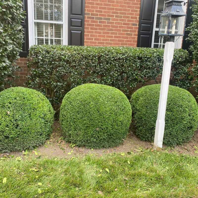 High-Quality Landscaping Services in Richmond, VA-JJ & R Landscaping LLC (9)