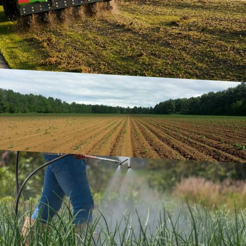 Best Lawn Trio: Aeration, Seeding & Fertilizing Richmond VA